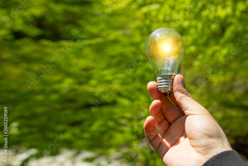 Light bulb in nature background. Idea