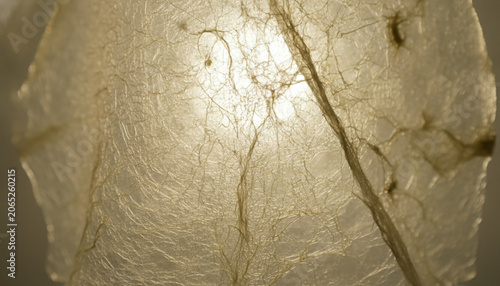 Translucent wet bacterial cellulose sheet bio leather macro