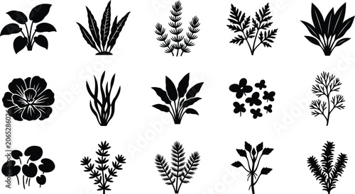 Set of black silhouette aquatic plants and water weeds