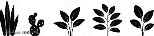 Potted Houseplant and Indoor Plant Icons Collection with Outline, Glyph and Colored Styles Vector Botanical Decoration Set Transparent Background