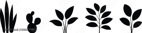 Potted Houseplant and Indoor Plant Icons Collection with Outline, Glyph and Colored Styles Vector Botanical Decoration Set Transparent Background