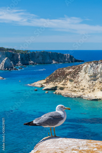 Scorcio delle Isole Tremiti - Foggia - Puglia - Italia	