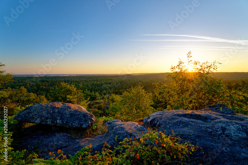 the Corne-Biche rock in Fontainebleau forest