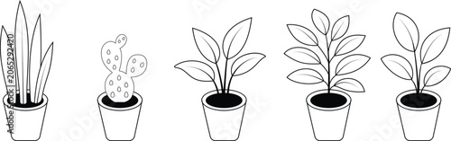 Potted Houseplant and Indoor Plant Icons Collection with Outline, Glyph and Colored Styles Vector Botanical Decoration Set Transparent Background