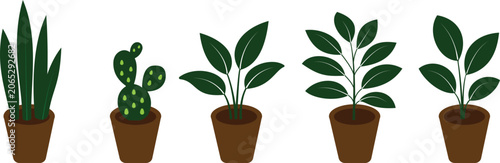 Potted Houseplant and Indoor Plant Icons Collection with Outline, Glyph and Colored Styles Vector Botanical Decoration Set Transparent Background