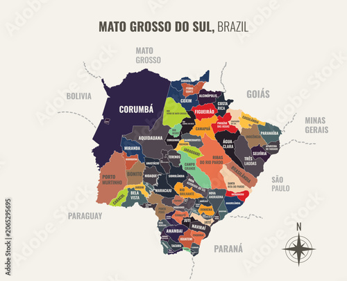 A map showing Mato Grosso do Sul Brazil Estado into Municipio in a minimalist colorful style