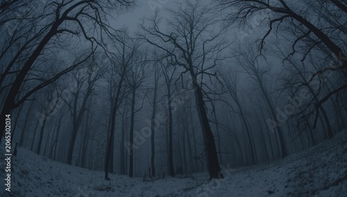 Panoramic night view of snowy forest enveloped in thick fog with haunting tree outlines