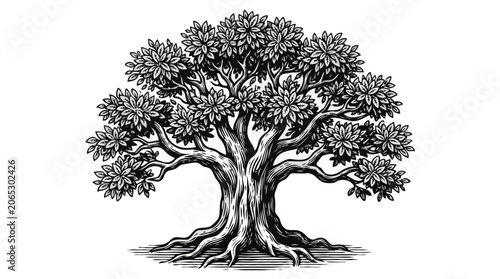 Vintage oak tree woodcut illustration isolated on white background.