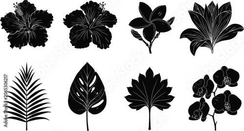 Flower icon vector set, tropical plant and leaf silhouettes