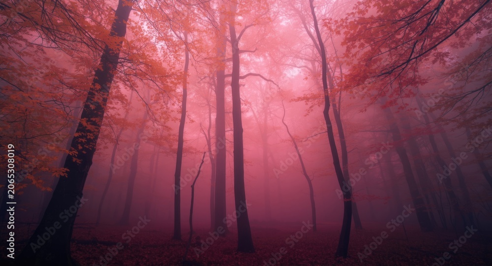Fototapeta premium Mystical pink fog enveloping an autumn forest with eerie shadows