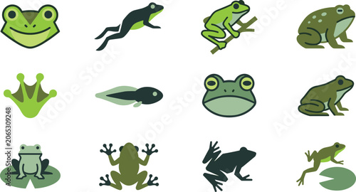Fotografía Frog life cycle vector icons collection featuring green toad jumping amphibian tadpole webbed foot print silhouette and lily pad elements isolated on white background