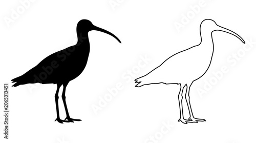 Canvastavla Shorebird Silhouette And Outline On White Background