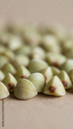 Vertical close-up of individual raw green buckwheat grains with soft focus background
