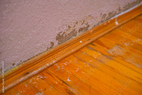 Canvastavla Wall peeling paint and damaged floorboards from moisture and water ingress leadi