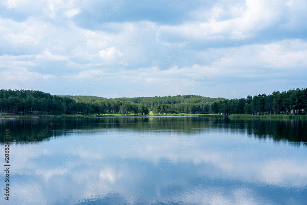 Fototapeta premium Calm lake water beautifully reflecting a green pine forest and summer clouds, creating a peaceful, natural landscape