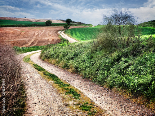 Camino de La Loba en primavera