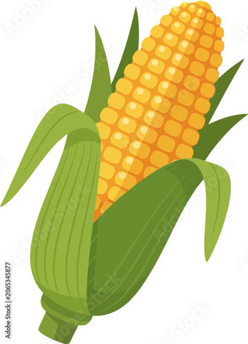 Vibrant Corn on the Cob Illustration with Green Husks.