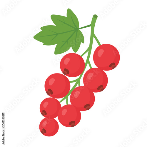 Bright berry branch with red fruits and green leaf, simple soft flat vector clipart.