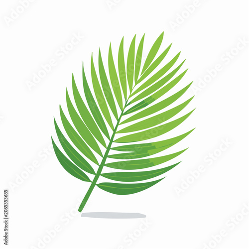 Green Palm Leaf Illustration