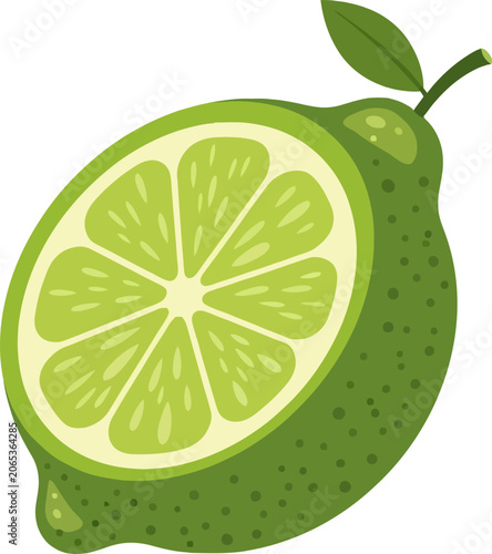Vibrant Lime Slice - A Refreshing Citrus Illustration.
