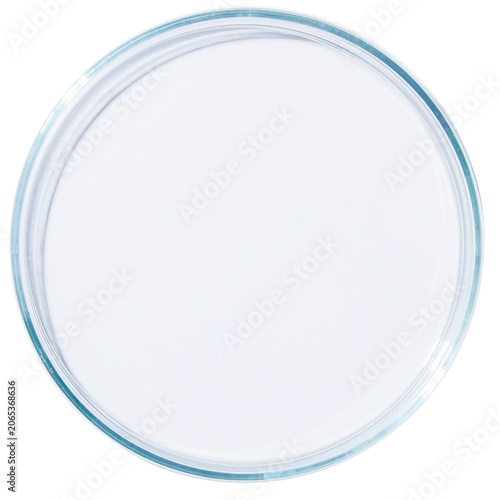 Empty Glass Petri Dish Isolated On Transparent Background
