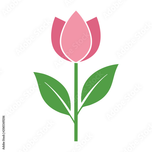 Pink tulip flower with green leaves vector illustration
