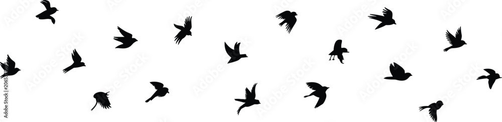 Obraz premium Flock of Birds Silhouettes Flying in Different Poses on White Background untitled