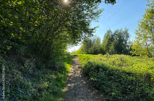 A tranquil dirt path winds softly through a lush, green woodland, where sunlight slips between the leaves and scatters delicate, dappled patterns across the ground in Wrose, Shipley, UK.