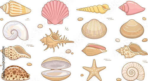 Obraz na płótnie Beautiful sea shell collection vector set featuring colorful beach seashells sta