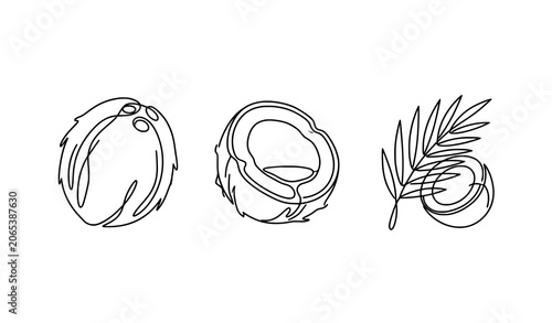 Continuous One Line Drawing of Coconut Set Featuring Whole Shell Cut Halves and Palm Leaf Symbolizing Tropical Fruit Organic Cosmetic Ingredient and Exotic Food Product Designs