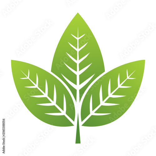 Green leaf icon with veins and stem