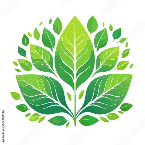 Symmetrical Green Leaf Illustration on White Background