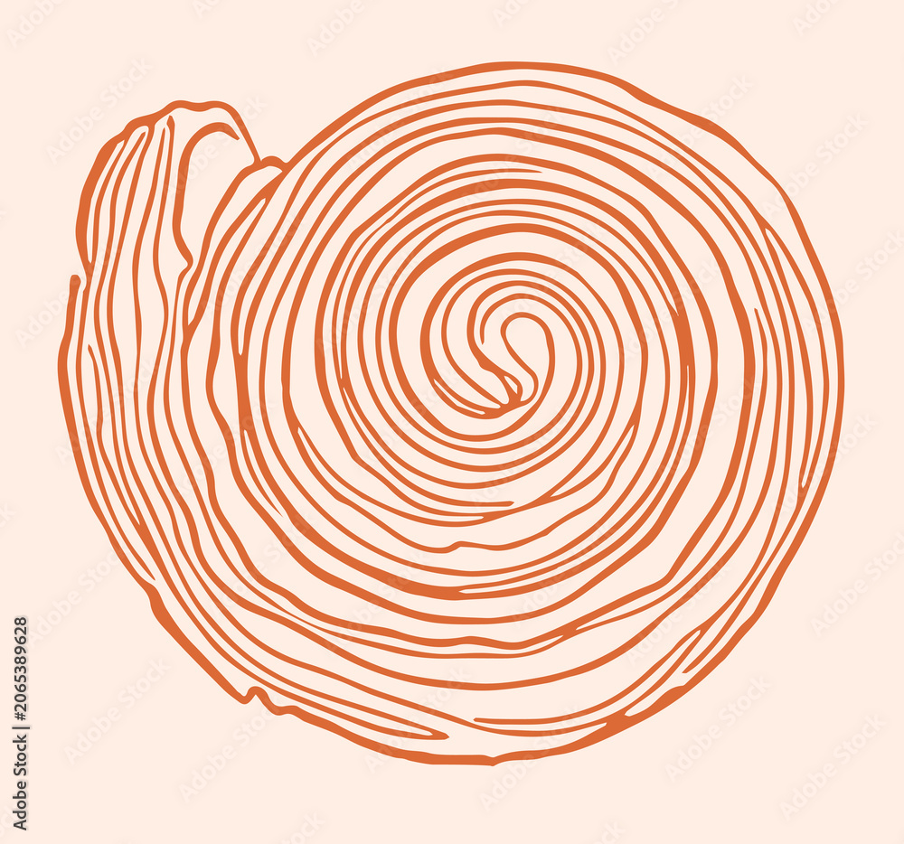 Fototapeta premium hand drawn vector illustration of a cinnamon roll bun, featuring a loose ink sketch style, perfect for bakery branding and culinary design projects