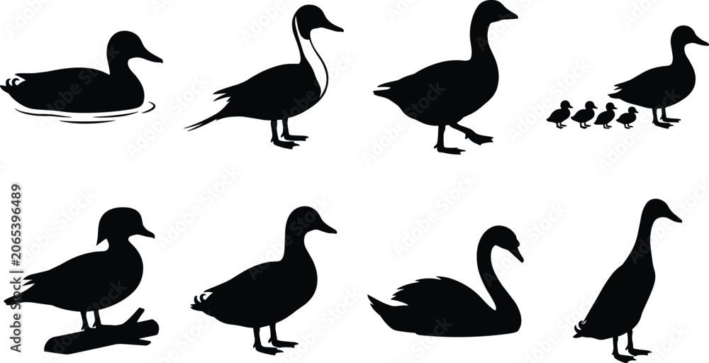Fototapeta premium Waterfowl Bird Silhouette Collection Featuring Ducks Geese Swans and Family Groups