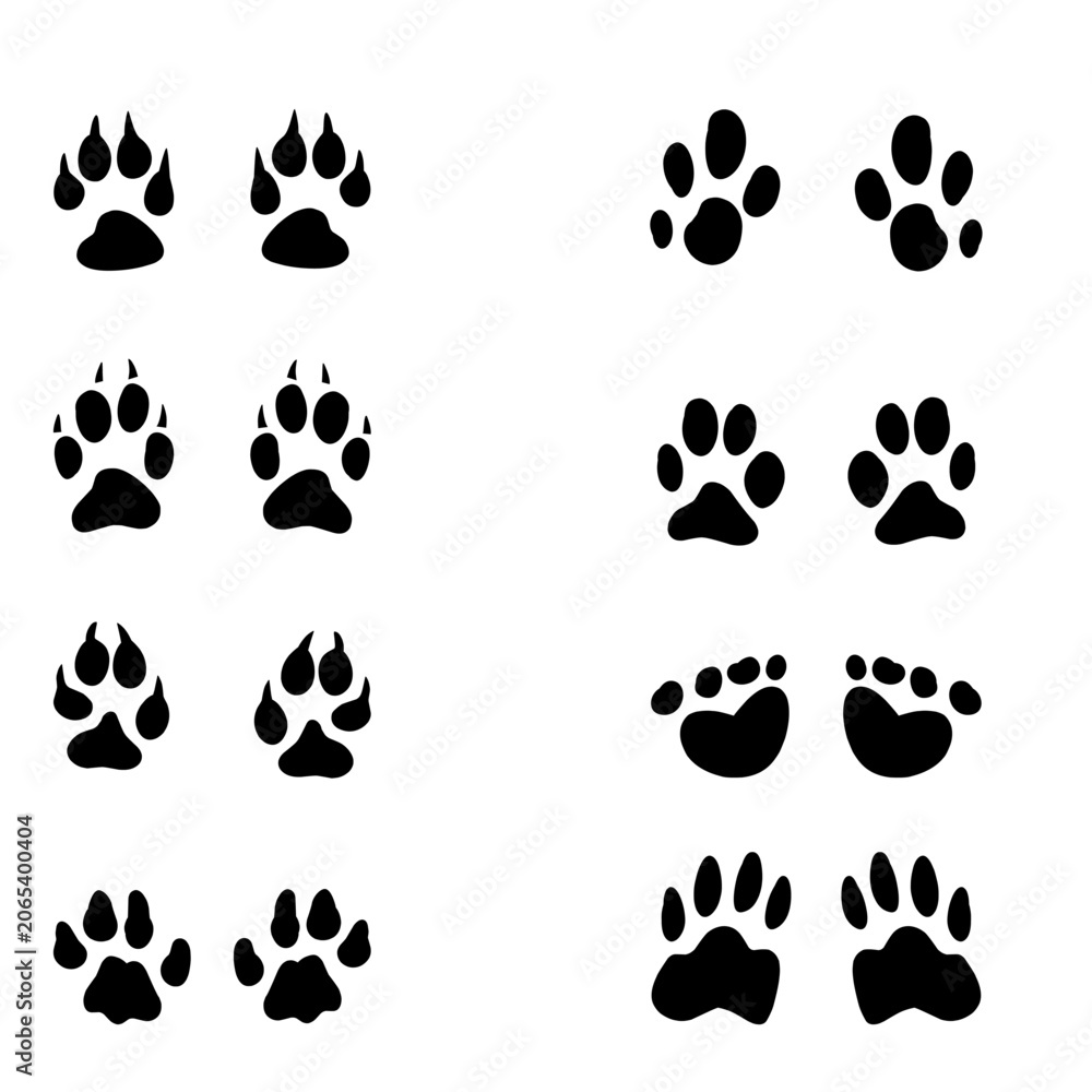 Fototapeta premium Skateboarder silhouettes set, active people skateboarding vector illustration, extreme sports action poses.