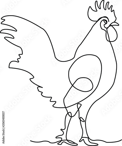 Single line drawing of a rooster standing on white background chicken bird