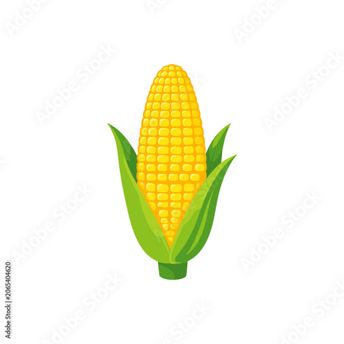 Φωτογραφία Corn Illustration