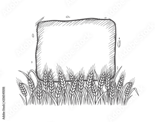 Fotografie Hand drawn of wheat stalks framing a blank rectangular space grain field
