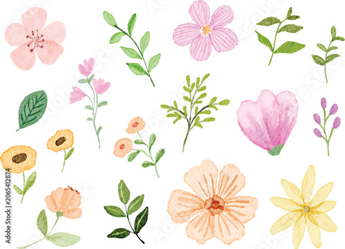 Watercolor Flower Collection Illustration