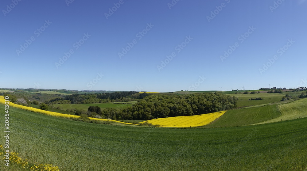 Fototapeta premium Eifellandschaft bei Zweifelscheid