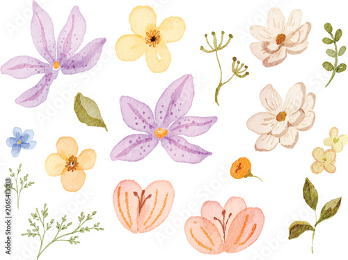 Watercolor Flower Collection Illustration