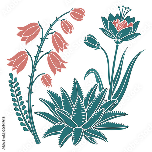 Fotografie Pink bell-shaped flowers with green leaves and buds on stems short lived illustr