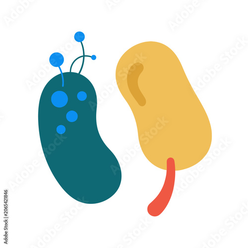 Fotografie Abstract illustration of two stylized microorganisms, bacteria or viruses, with