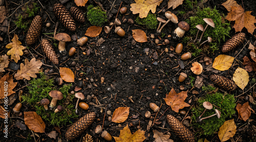 forest floor flat lay background with wild mushrooms pine cones green moss and dry leaves framing empty soil