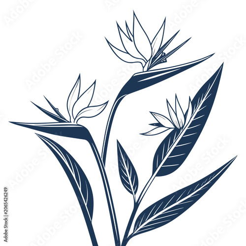 Foto Strelitzia reginae bird of paradise flower illustration with strelitzia, paradis