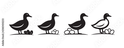 Vászonkép Minimalist Duck Parade Line Drawing