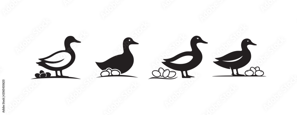 Obraz premium Funny Duck Egg Counting Wall Art