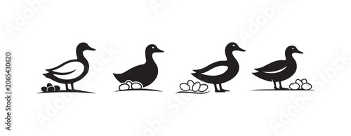 Cuadro en lienzo Funny Duck Egg Counting Wall Art