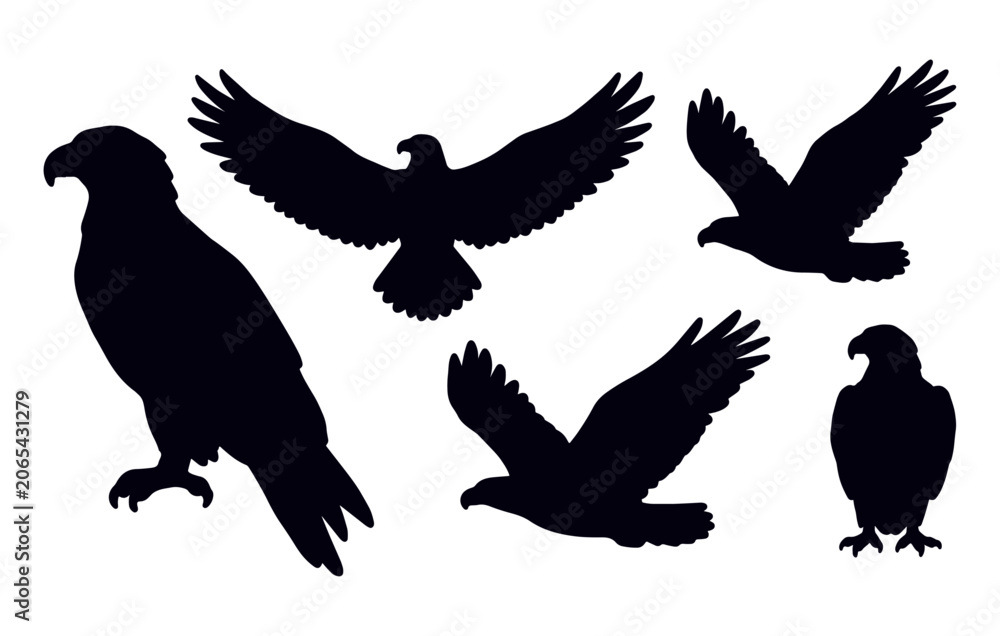 Fototapeta premium Eagle Wings Spread Hawk Sketch Illustration Set