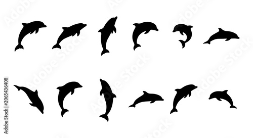 Photography Dolphin Silhouettes Collection, Marine Mammal Vector Icons, Ocean Wildlife Set,